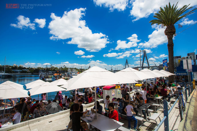 50ee5f0d8a3cd95b0b9a5bebbbc144de.jpeg 50ee5f0d8a3cd95b0b9a5bebbbc144de.jpeg